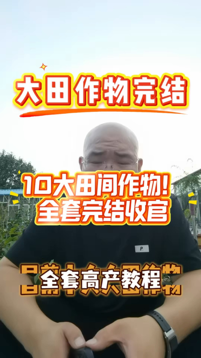 大田作物暂时完结