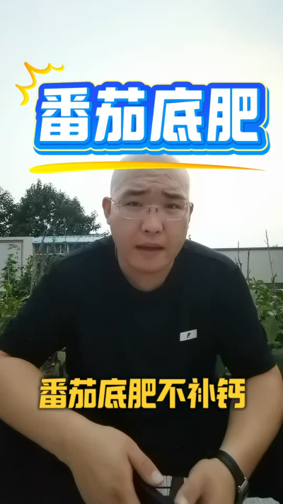 番茄底肥