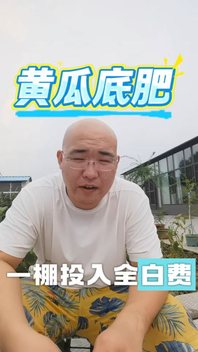 黄瓜底肥