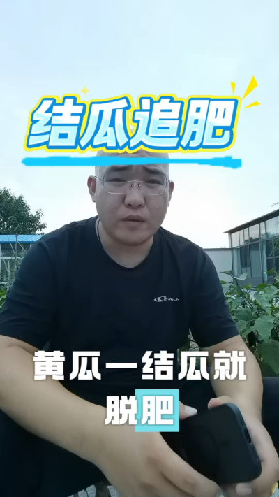 黄瓜结瓜追肥