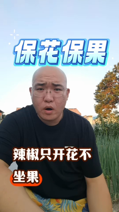 辣椒保花保果