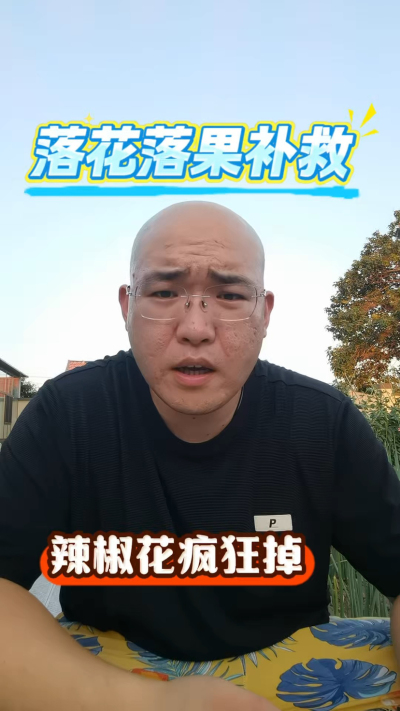 辣椒落果补救