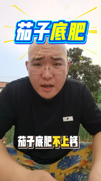 茄子底肥