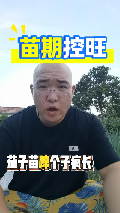 茄子苗期控旺