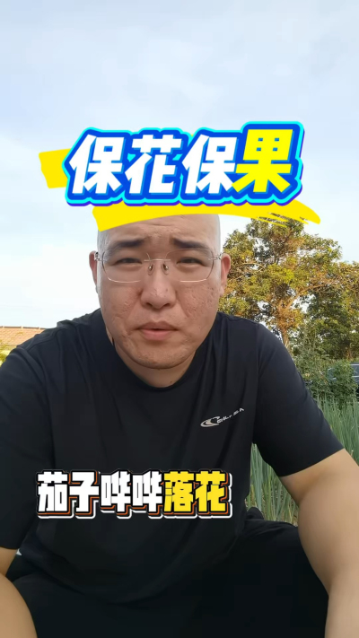 茄子保花保果