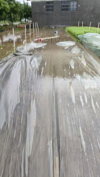 这雨下得有点大。