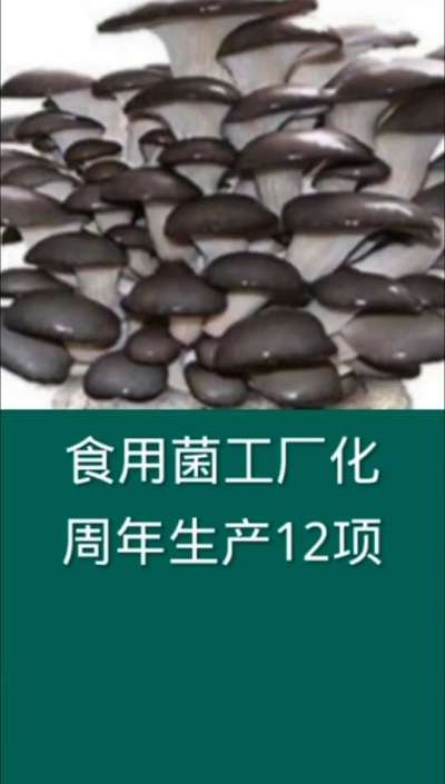 食用菌工厂化周年生产12项