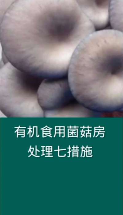 有机食用菌菇房处理七措施