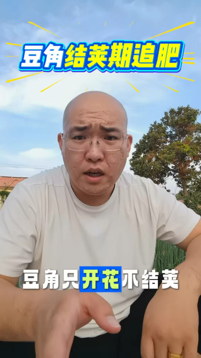 豆角结荚期追肥