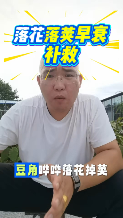 豆角落花落荚补救