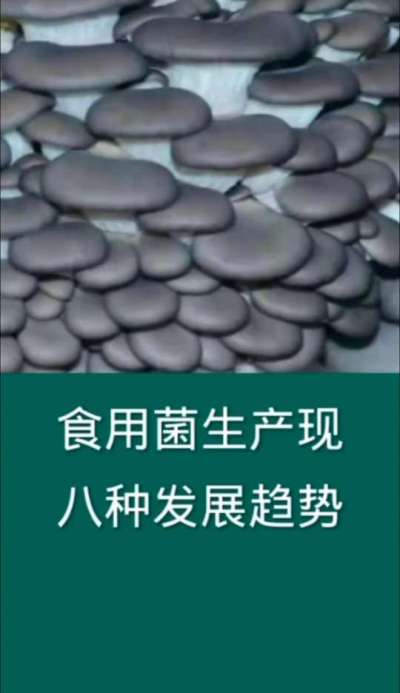 食用菌生产出现八种发展趋势