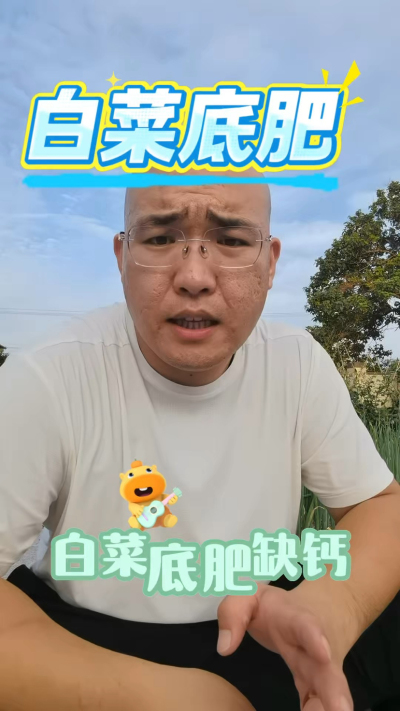 白菜底肥