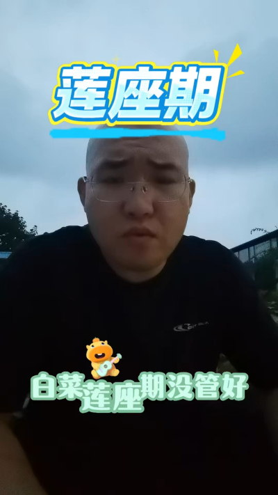 白菜莲座期