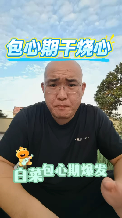 白菜包心期干烧心