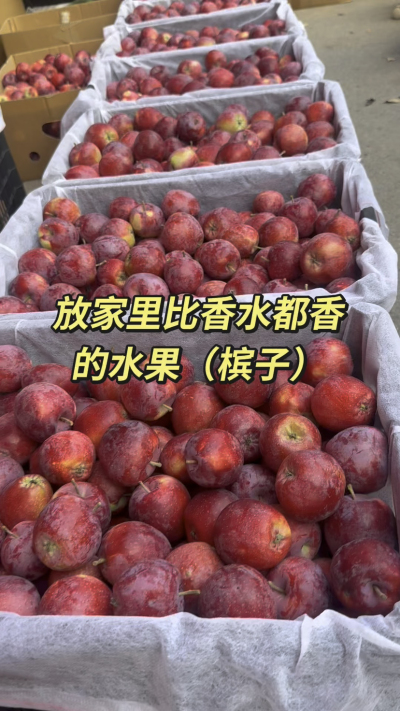 槟果子，比香水都香的水果