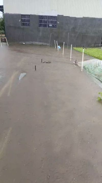 水培