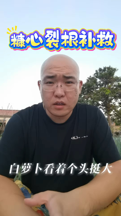 白萝卜糠心裂根补救