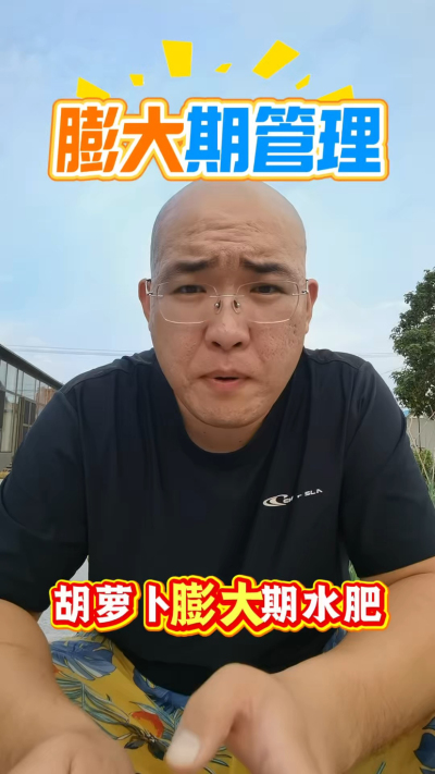 胡萝卜底肥