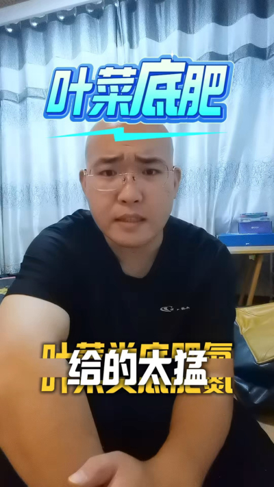 叶菜底肥