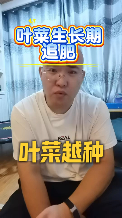 叶菜追肥