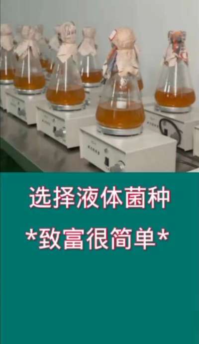 选择液体菌种，致富很简单。