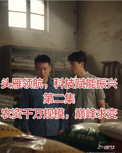 头雁领航 科技赋能振兴，第二集 农资千万规模，巅峰求变