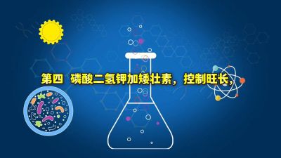 磷酸二氢钾6大黄金复配方案