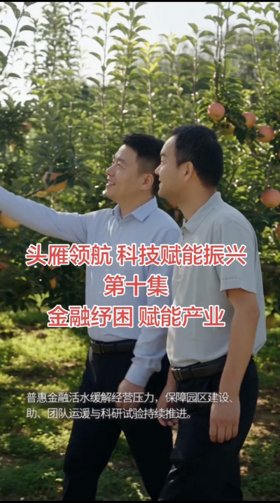 第十集 金融纾困 赋能产业