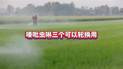 打药万能公式