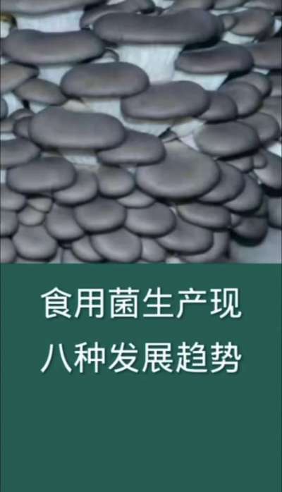 食用菌生产八种发展趋势