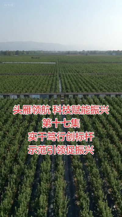 第十七集 实干笃行创标杆 示范引领促振兴